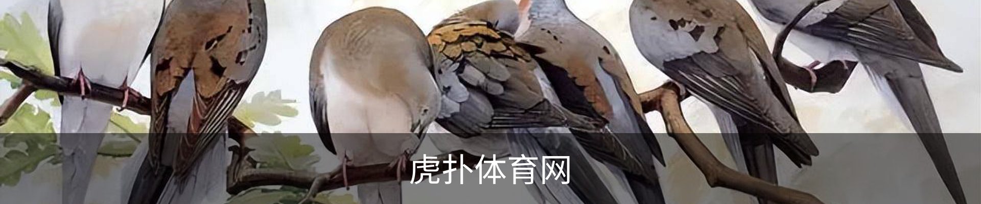 内页banner
